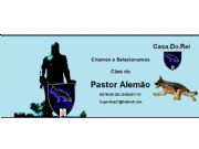 Pastor Alemão - Foto 1